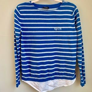 Blue and Silver Sweater.